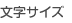 文字サイズ